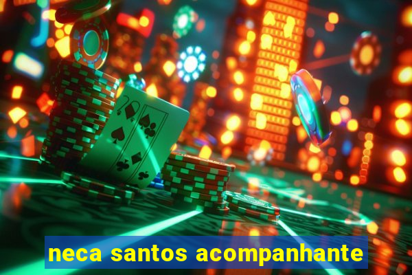 neca santos acompanhante